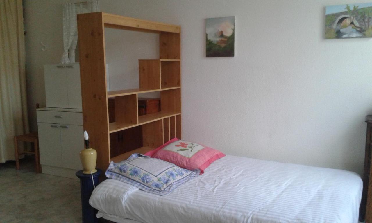 Ferienwohnung LE SULTAN DU THERON 3em Etage Le Puy-en-Velay Exterior foto